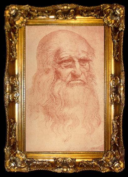 framed  LEONARDO da Vinci Self Portrait, ta009-2